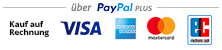 Kauf auf Rechnung, Kreditkarte und Lastschrift über PayPal Plus